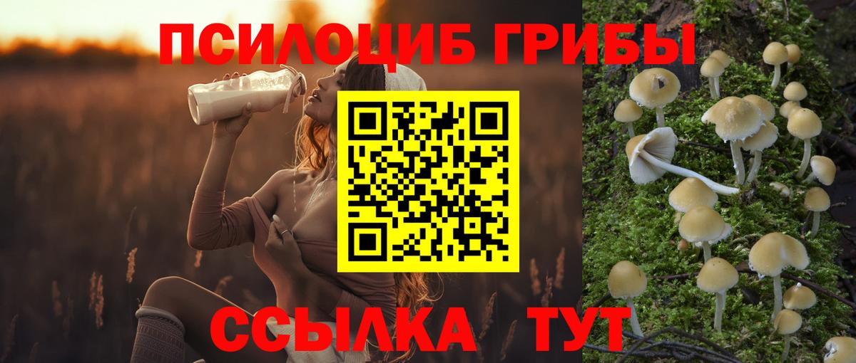 Кострома  Галлюциногенные грибы ЛСД  Вход с VPN  Псилоцибиновые грибы мицелий 